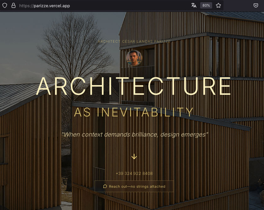 Professional website example 3