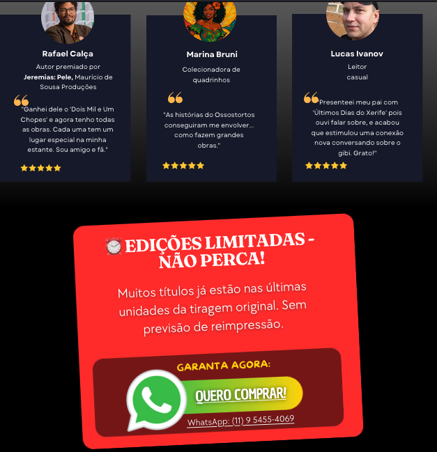 Professional website example 8